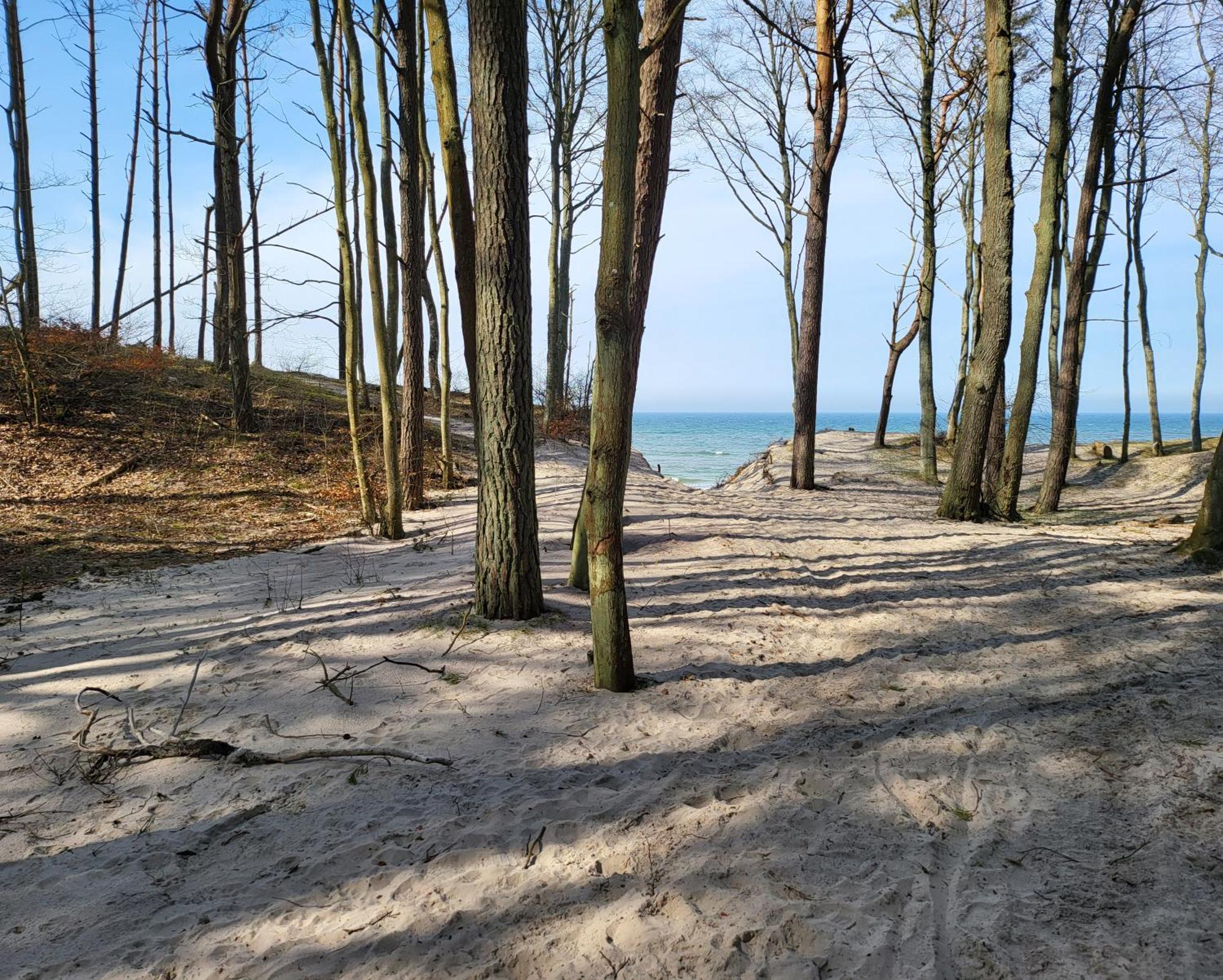 Baltic Barns Brisa Villa Wytowno Bagian luar foto
